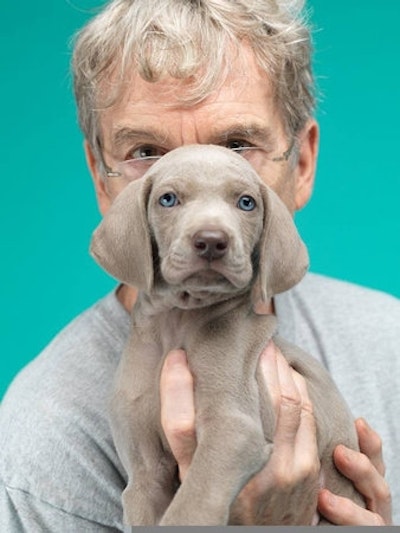 William Wegman