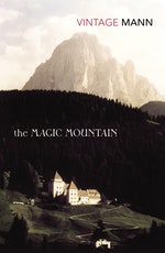 the magic mountain book