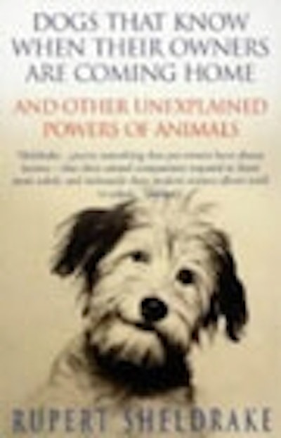 Dogs That Know When Their Owners Are Coming Home