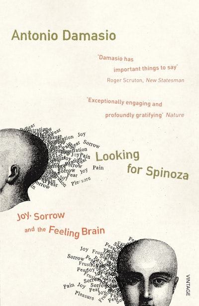 Looking For Spinoza