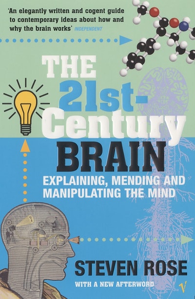 The 21st Century Brain