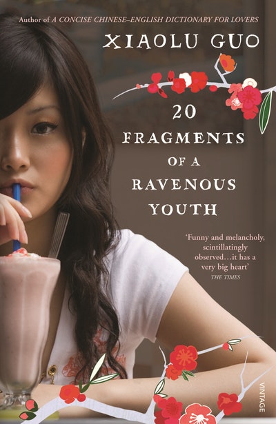 20 Fragments of a Ravenous Youth