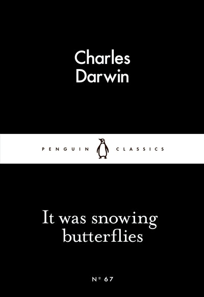 It Was Snowing Butterflies