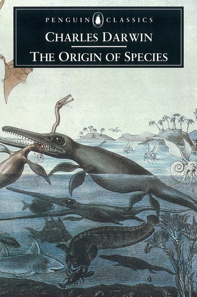 The Origin Of The Species