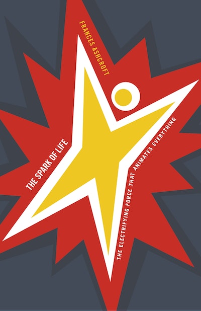 The Spark Of Life
