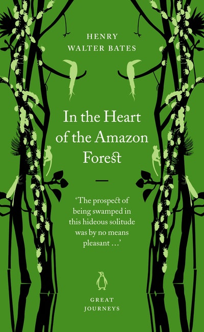 In The Heart Of The Amazon Forest