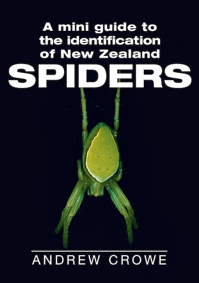 A Mini Guide to the Identification of New Zealand Spiders