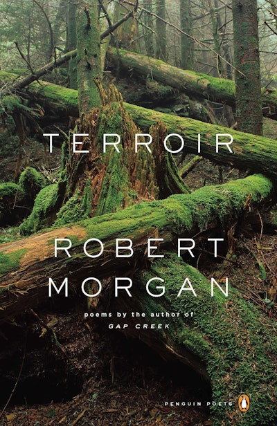 Terroir