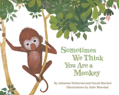 Sometimes We Think You Are A Monkey