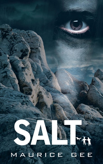 Salt NZ Edition