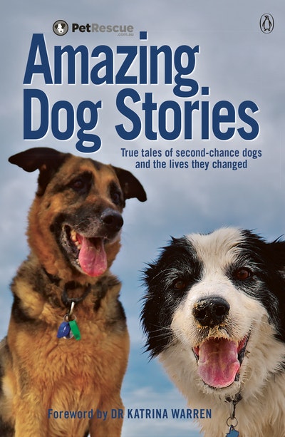 PetRescue's Amazing Dog Stories