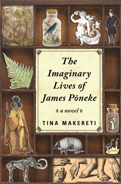 The Imaginary Lives of James Poneke