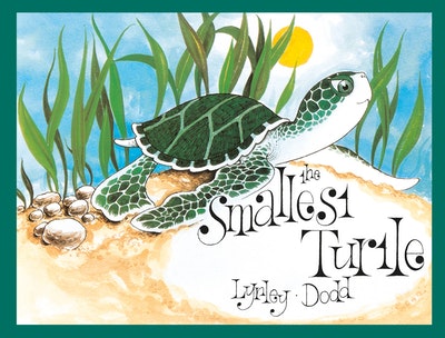 The Smallest Turtle