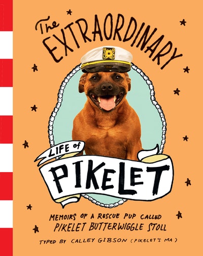 Join Pikelet’s Paw-signing at Mad Hatters Bookshop Brisbane