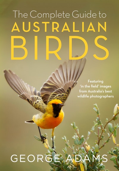 Complete Guide To Australian Birds By George Adams Penguin Books New Zealand