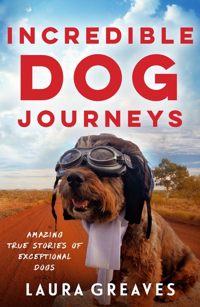 Incredible Dog Journeys