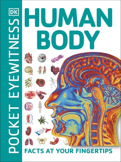 Human Body