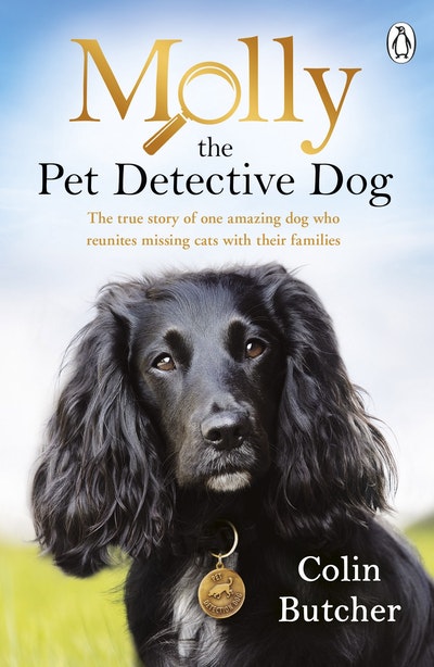 Molly the Pet Detective Dog