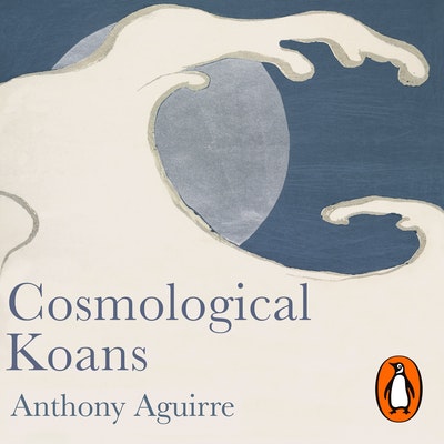 Cosmological Koans