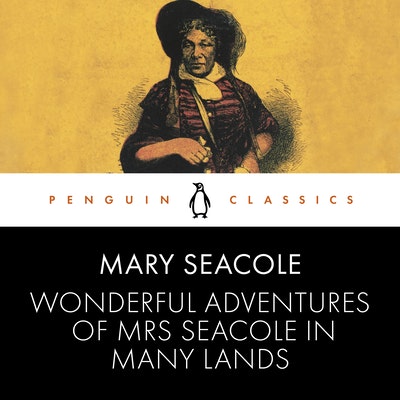 Wonderful Adventures Of Mrs Seacole In Many Lands