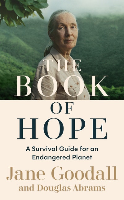 hope was here book