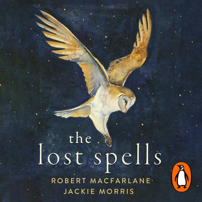 robert macfarlane the lost spells