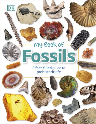 My Book of Fossils