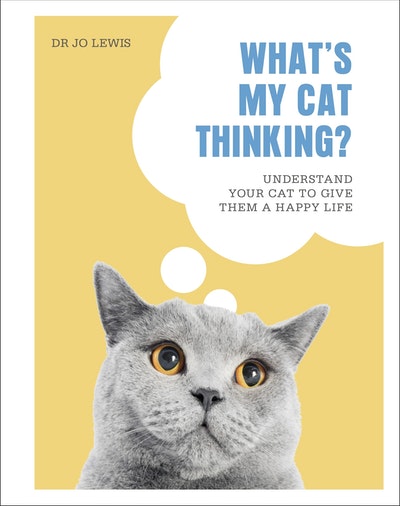 What's My Cat Thinking?