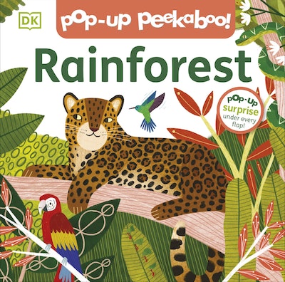 Pop-Up Peekaboo! Rainforest