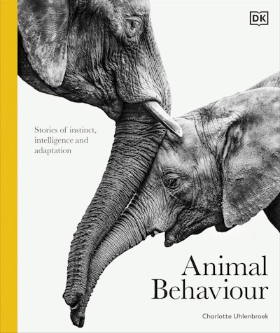 Animal Behaviour