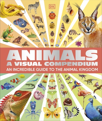 Animals A Visual Compendium