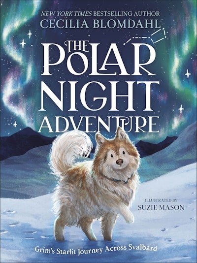 The Polar Night Adventure