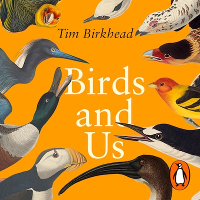 Birds and Us