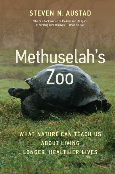 Methuselah's Zoo