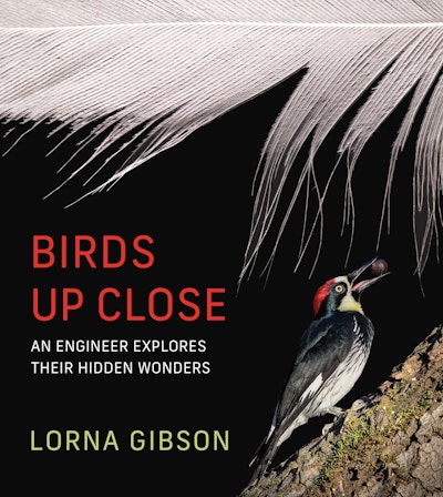 Birds Up Close