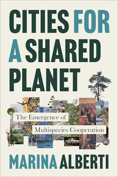 Cities for a Shared Planet