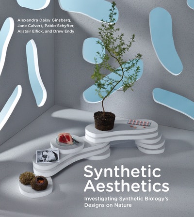 Synthetic Aesthetics