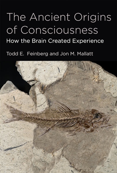 The Ancient Origins of Consciousness