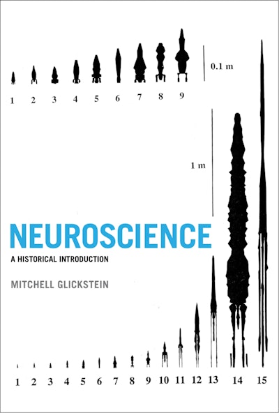 Neuroscience