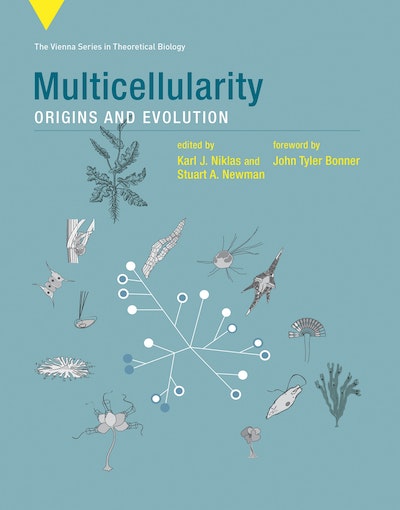 Multicellularity