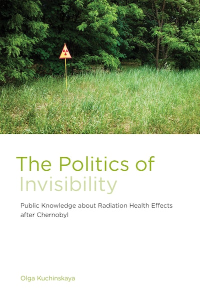 The Politics of Invisibility