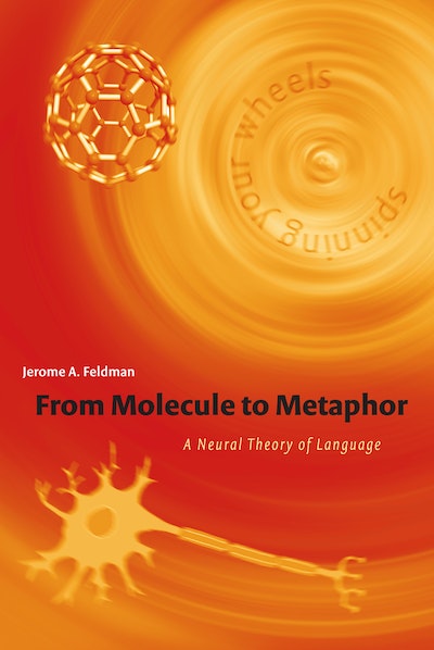 From Molecule to Metaphor