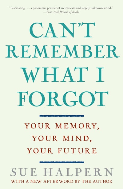 Can't Remember What I Forgot