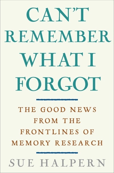 Can't Remember What I Forgot