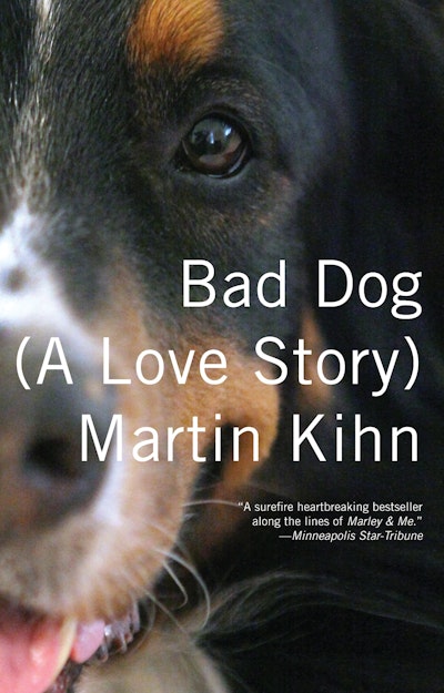 Bad Dog