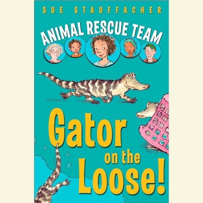 Animal Rescue Team: Hide and Seek