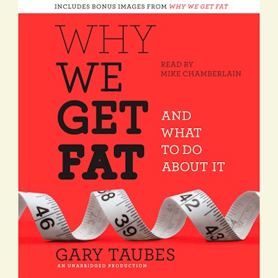 Why We Get Fat