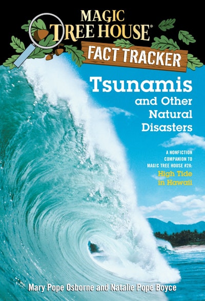 Tsunamis and Other Natural Disasters