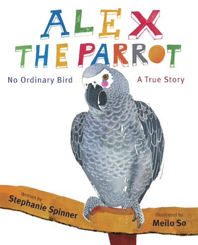 Alex the Parrot: No Ordinary Bird