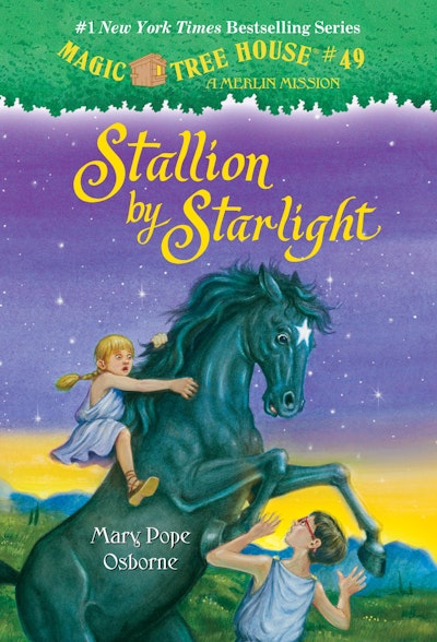 Stallion by Starlight